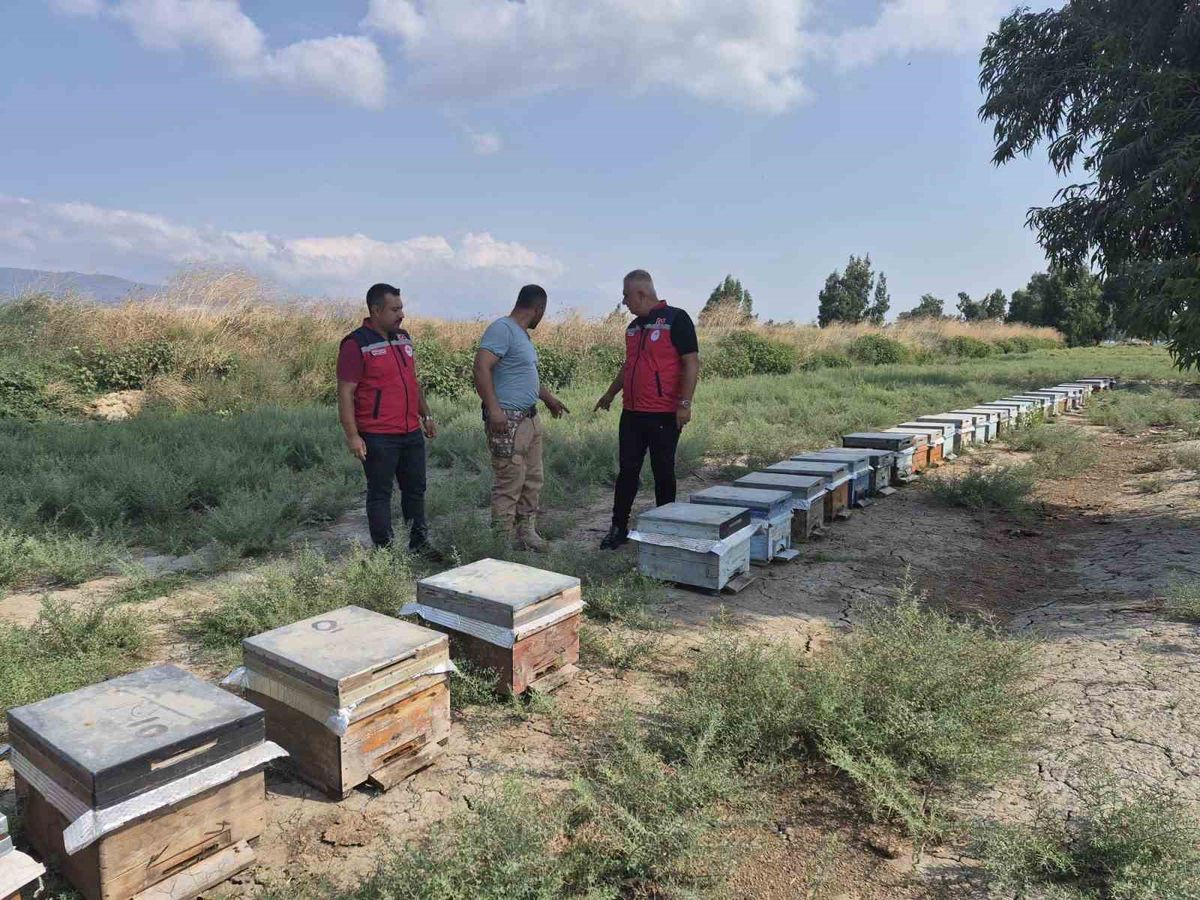 Hatay'da Arıcılık İşletmesine Bal Sağım Sezonu Ziyareti
