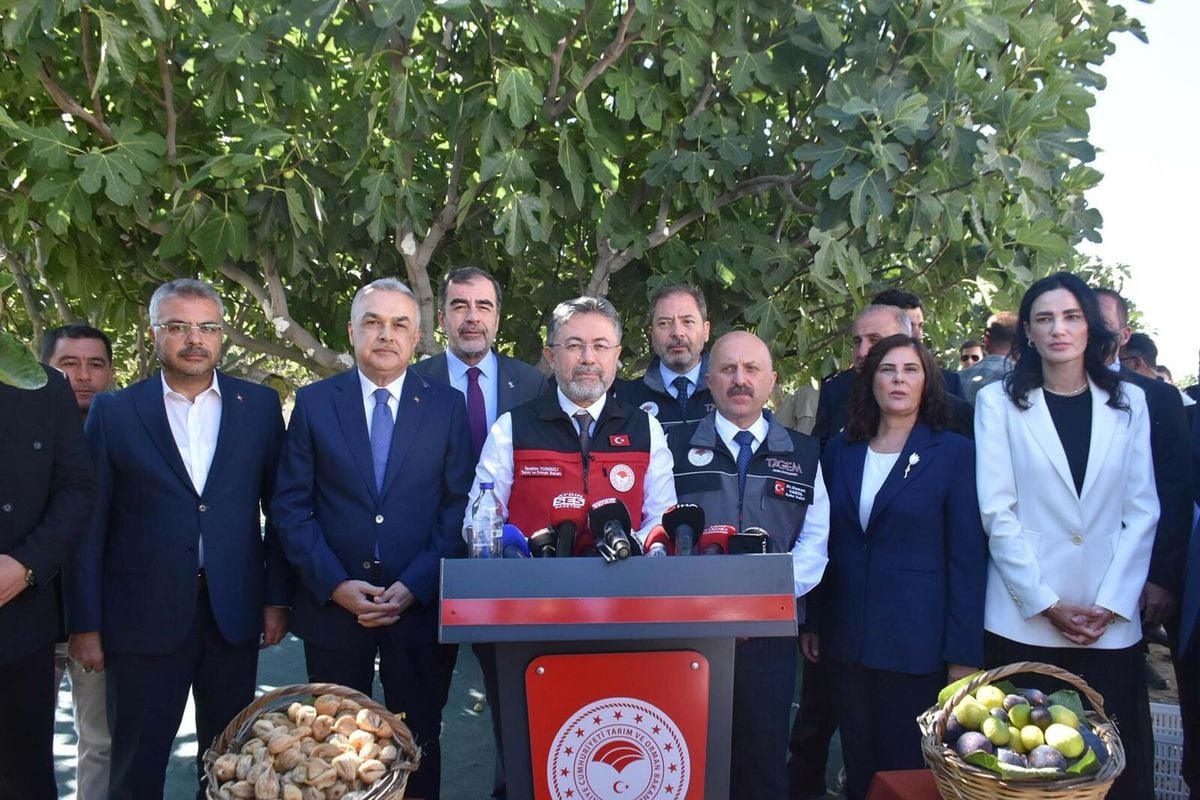 Bakan Yumaklı: Türkiye dünya incir üretiminde birinci sırada