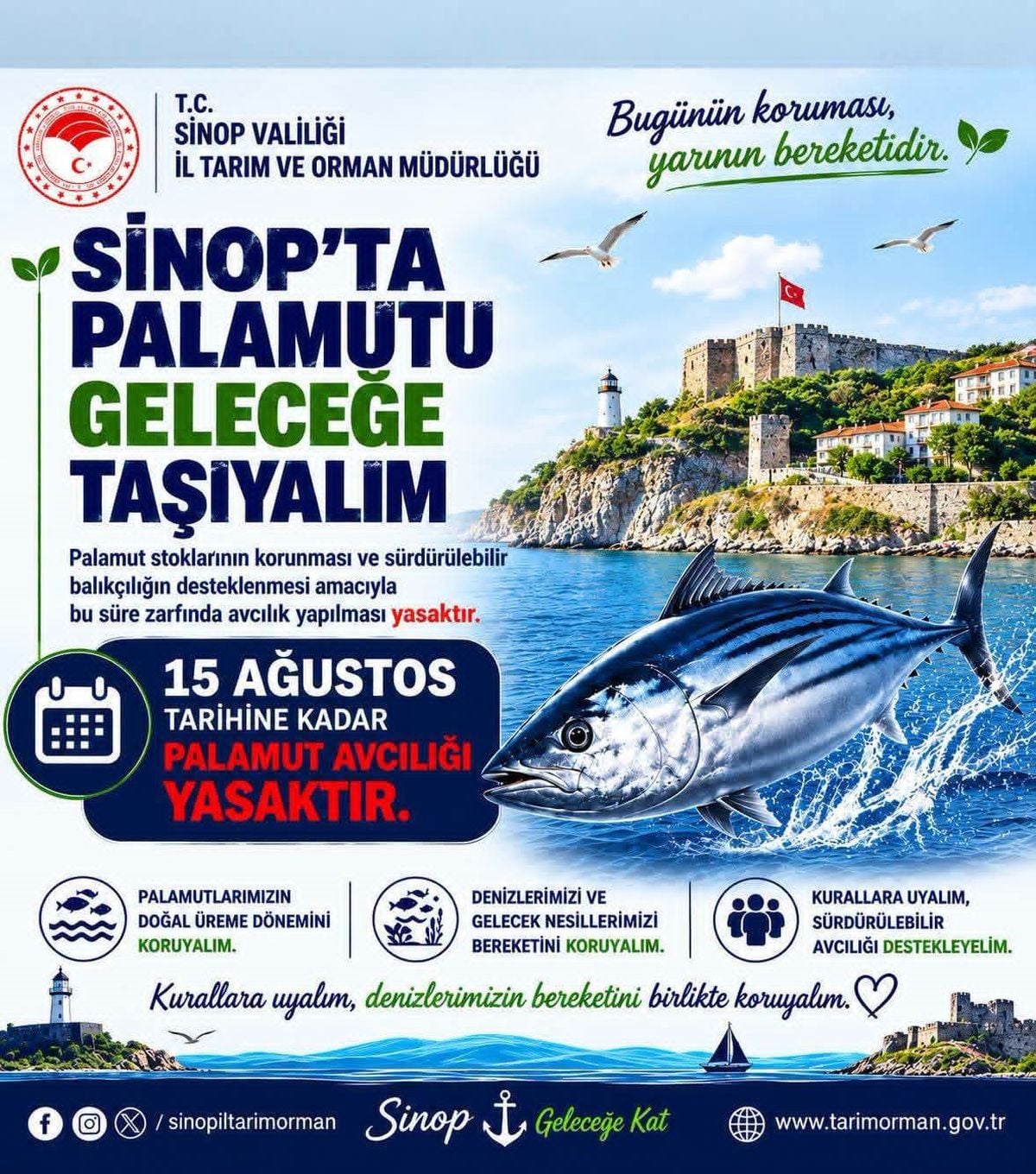 Sinop'ta Palamut Avcılığı 15 Ağustos'a Kadar Yasak
