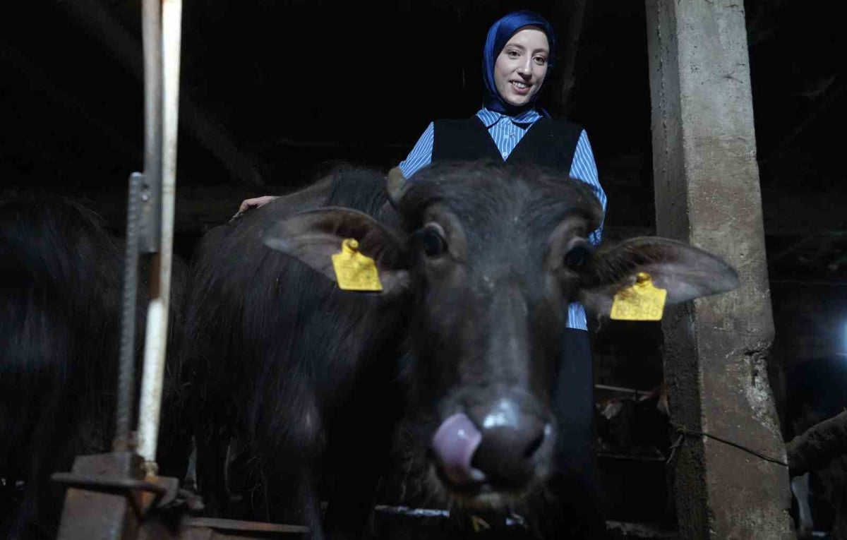 Bayburtlu Kadın Girişimci 'Uzman Eller' ile Manda Çiftliğini Büyüttü