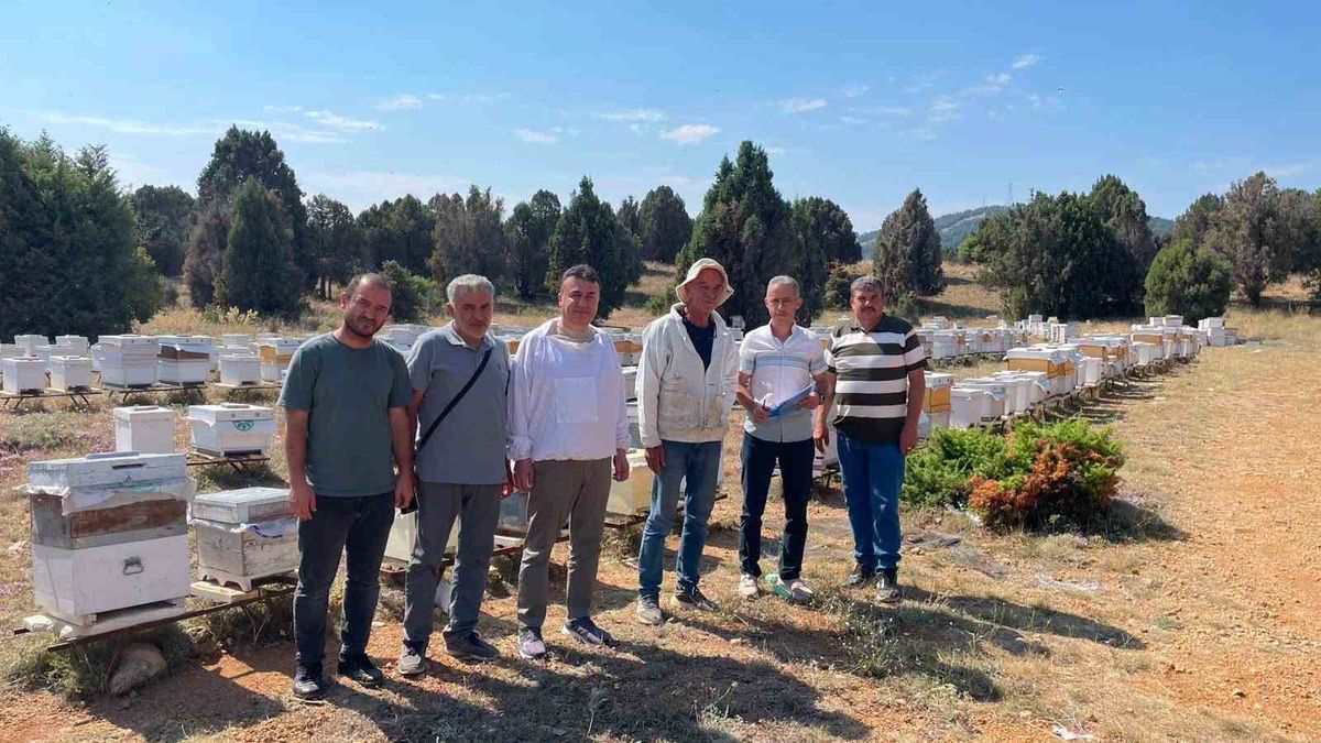 Beyşehir'de arılı kovan tespit ve sayım çalışmaları