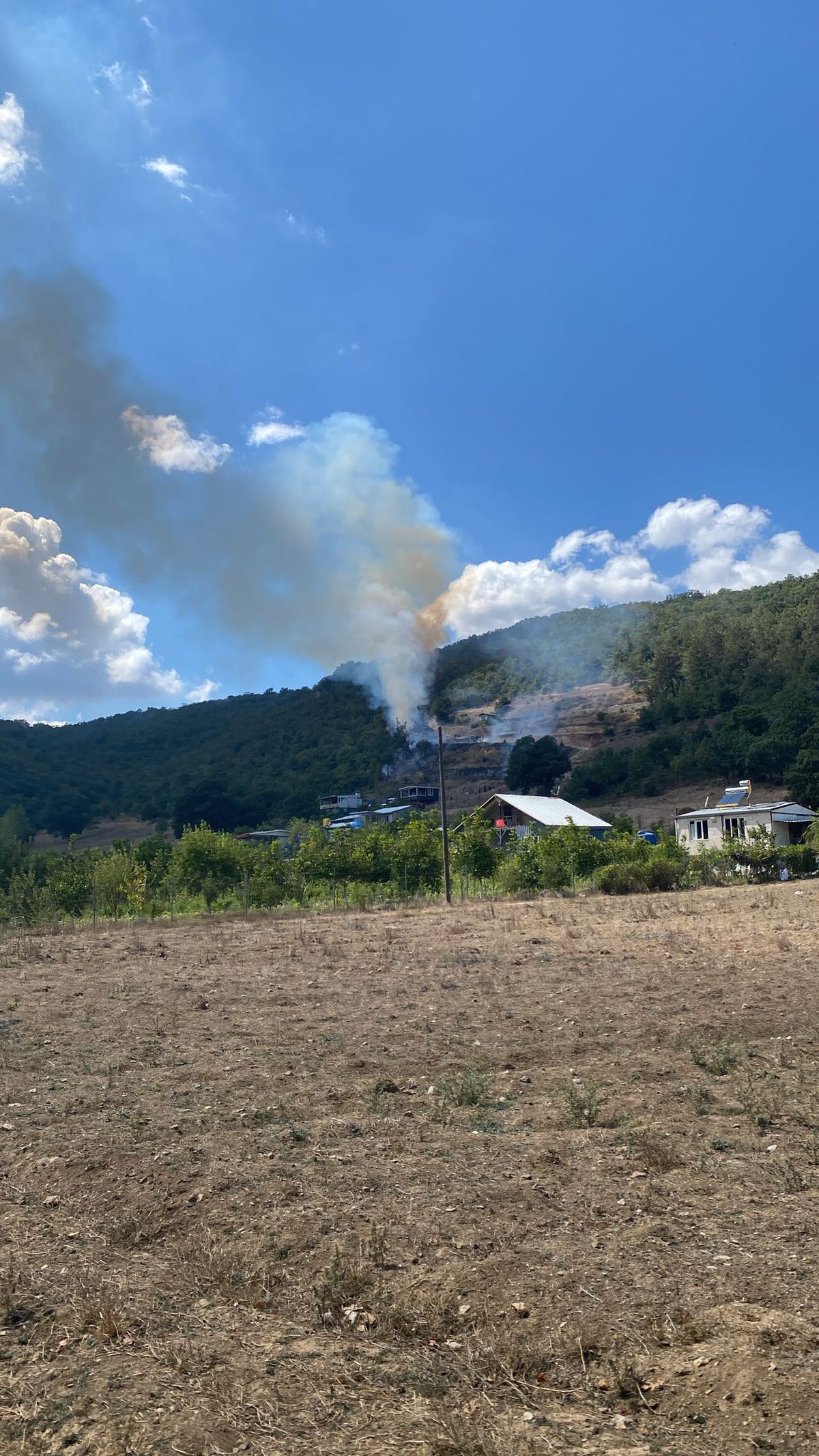 Bursa'da İki Ayrı Yangın: Kestel ve Harmancık'ta Alevlere Müdahale Sürüyor