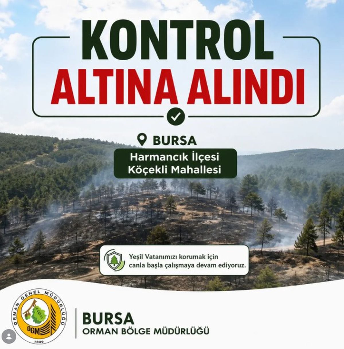 Bursa'da Orman Yangını 2,5 Saatte Kontrol Altına Alındı