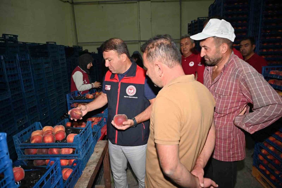 Tarım Müdürü Zayim, Çivril'deki şeftali işleme tesisini inceledi