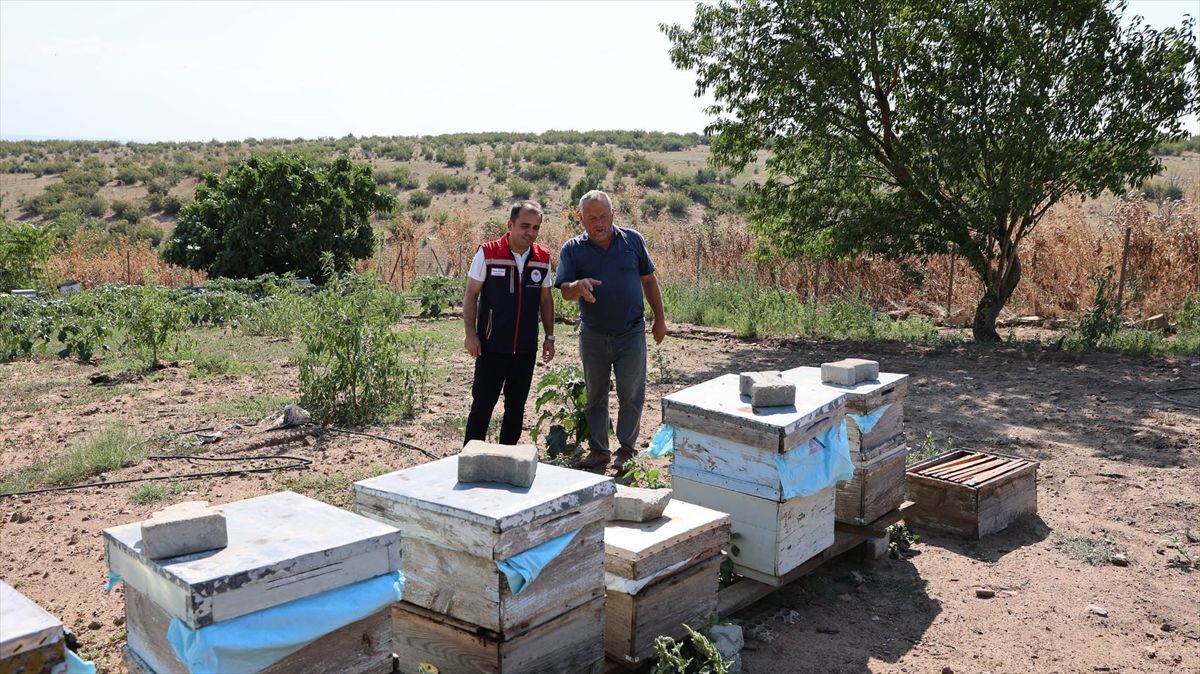 Edirne'de Arı Yetiştiricisine Ziyaret