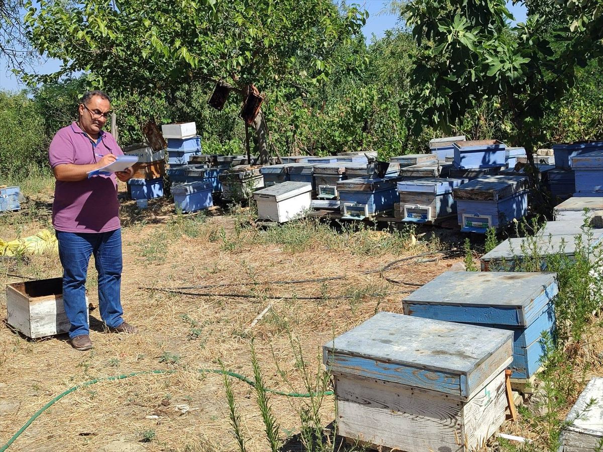 Keşan'da Kapsamlı Tarım ve Gıda Denetimleri