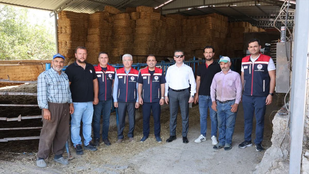 Edirne'de Hayvancılığa Destek Projesi ile 3 Buzağı Dünyaya Geldi