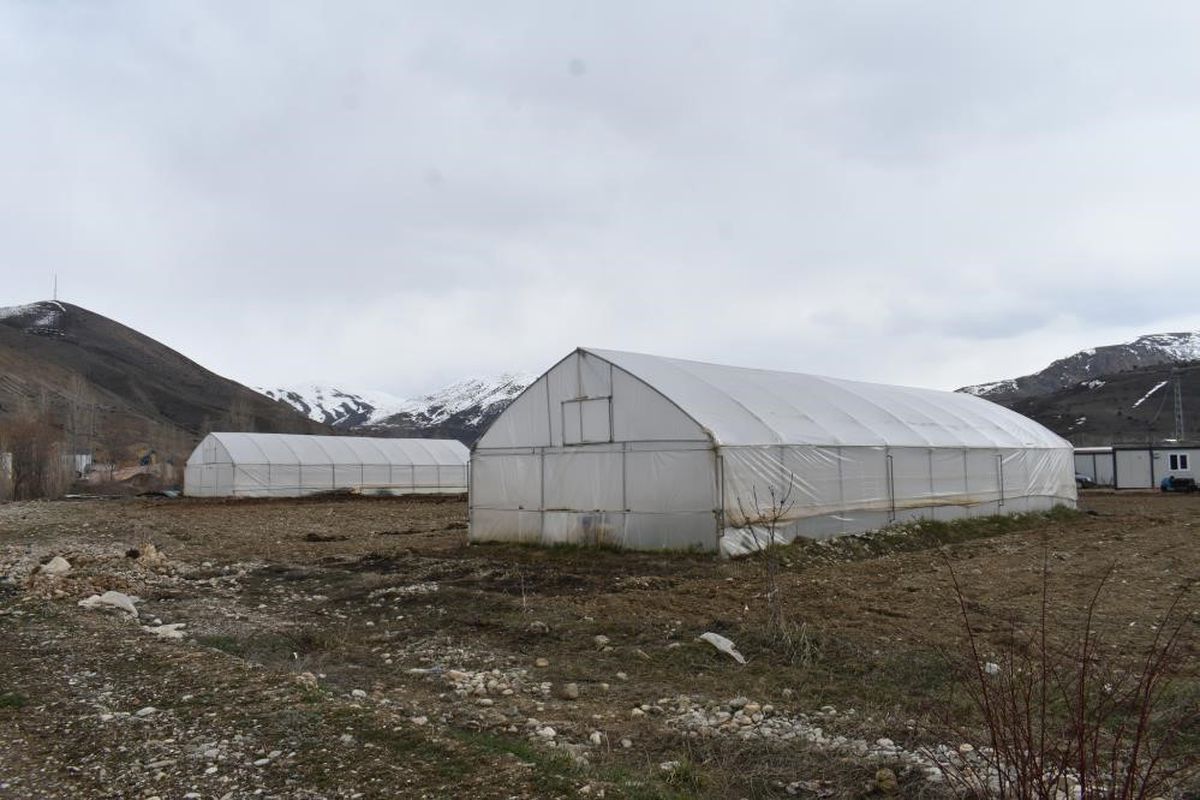 Erzincan'da Sera Örtüsü Desteği Başvuru Süresi Uzatıldı