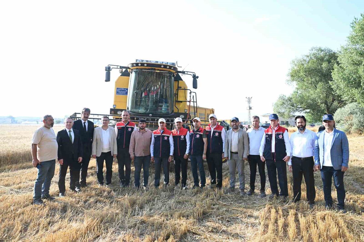 Erzurum'da Vali Baruş, Öğrencilerle Buğday Hasadına Katıldı