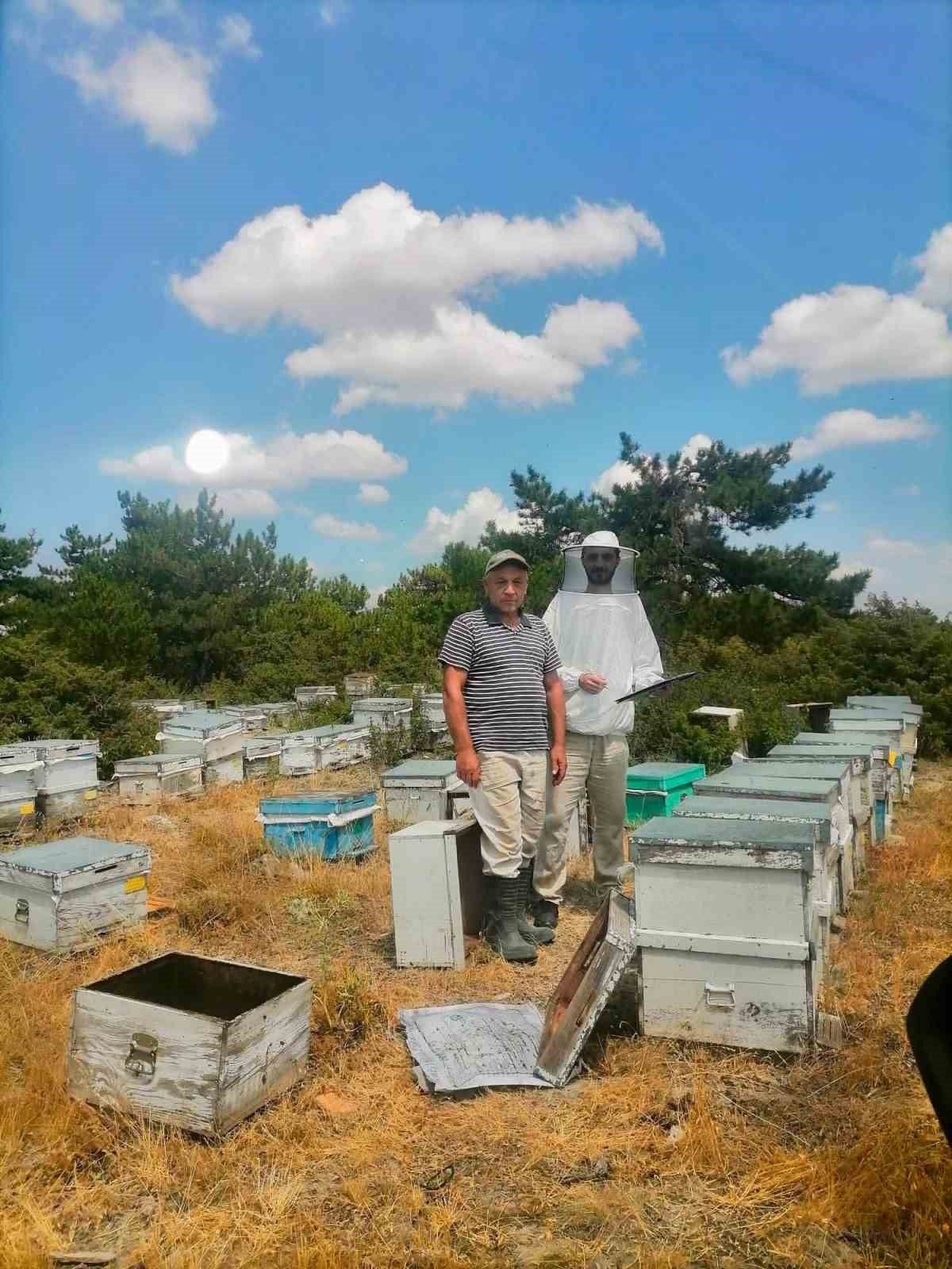 Afyonkarahisar'da Arıcılık Kayıt ve Tespit Çalışmaları Sürüyor