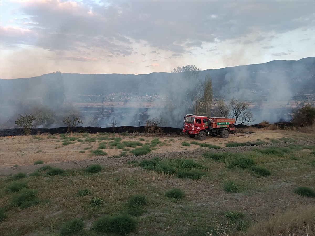 Tosya'da anız yangını: 400 dekar tarım arazisi zarar gördü