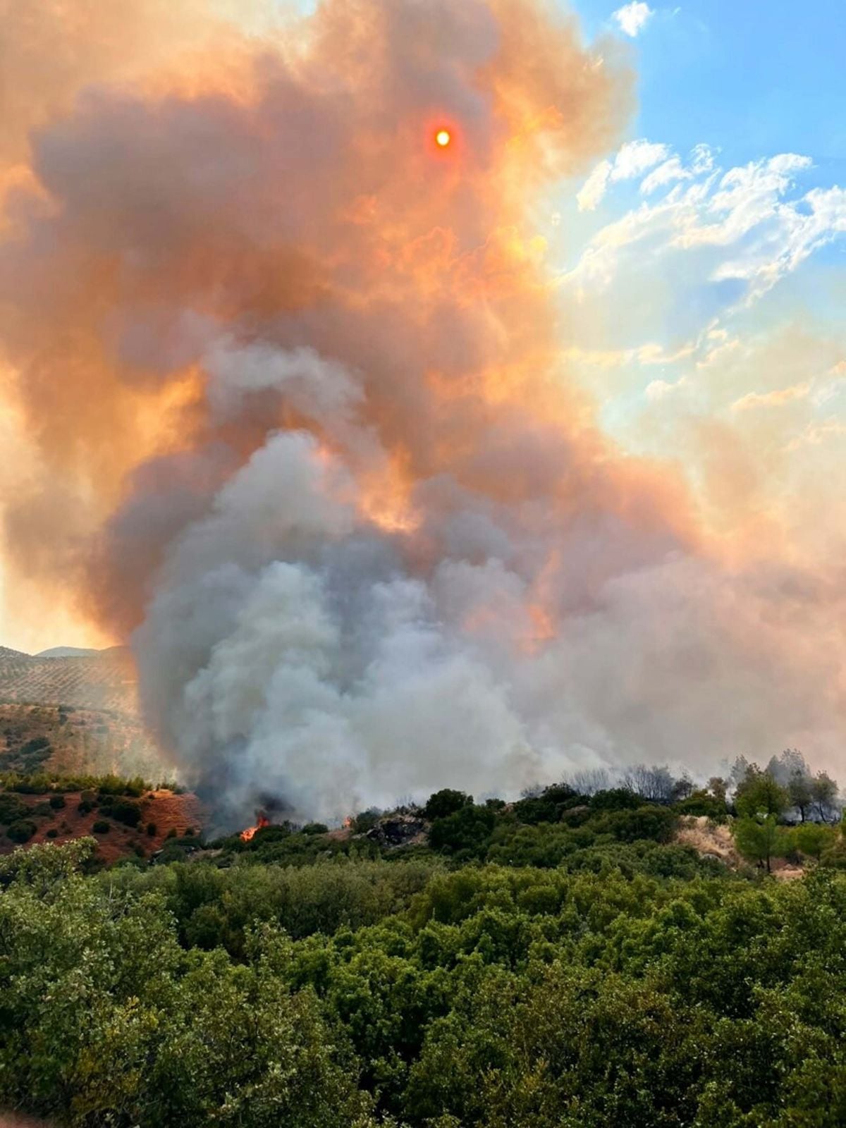 Kula'da yangın ormana sıçradı: Havadan ve karadan müdahale
