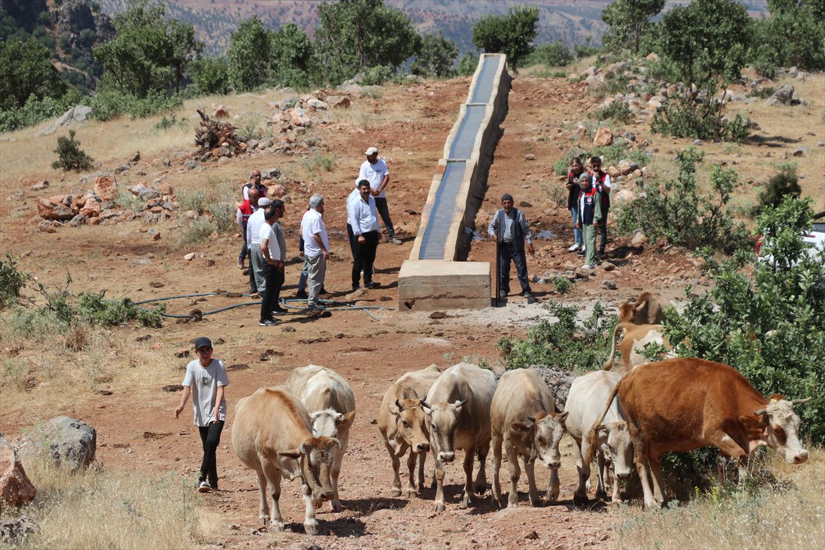 Siirt'te Mera Projeleriyle Besicilere Konfor