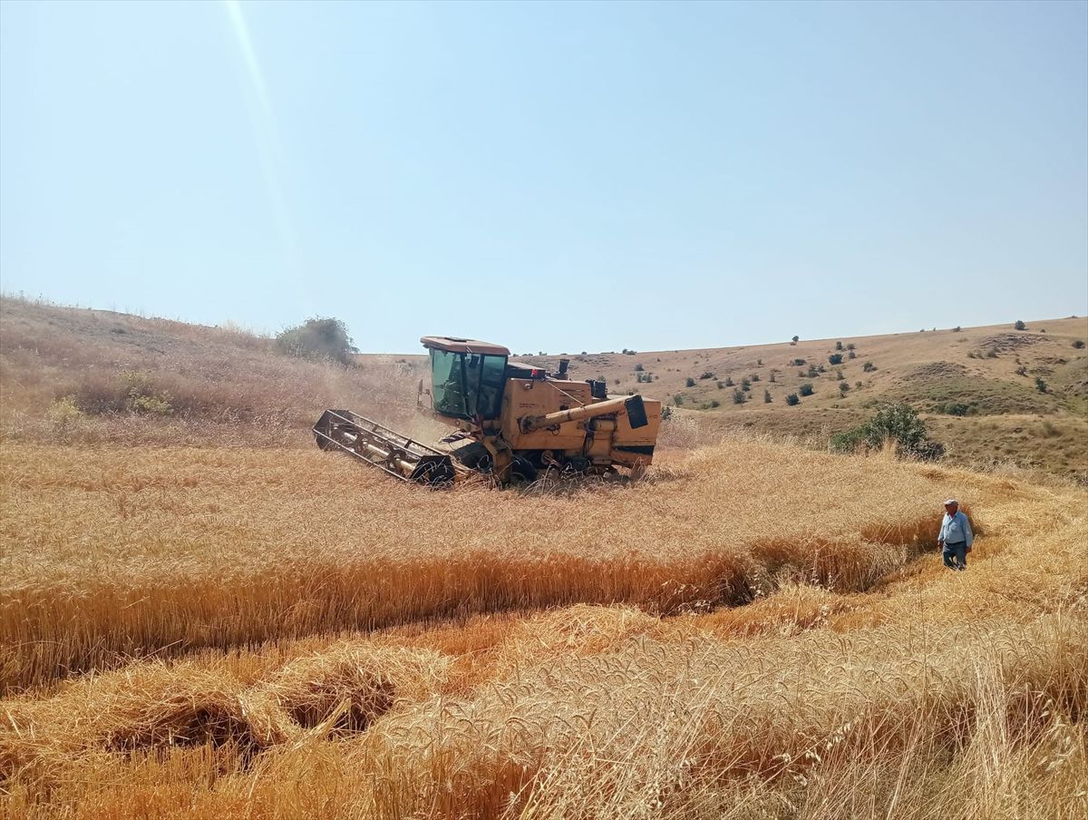 Merzifon’da biçerdöver denetimleri sürüyor