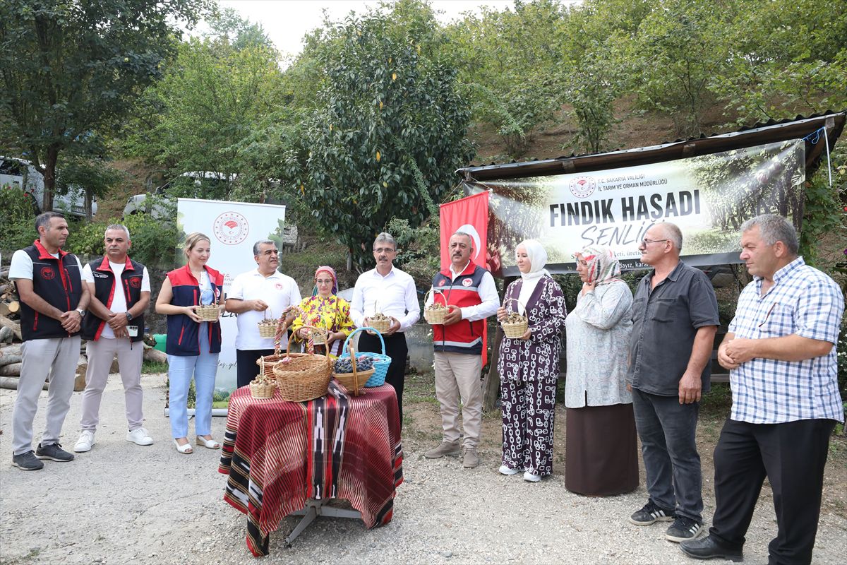 Sakarya'da Fındık Hasat Şenliği: Rekolte 89 Bin Ton