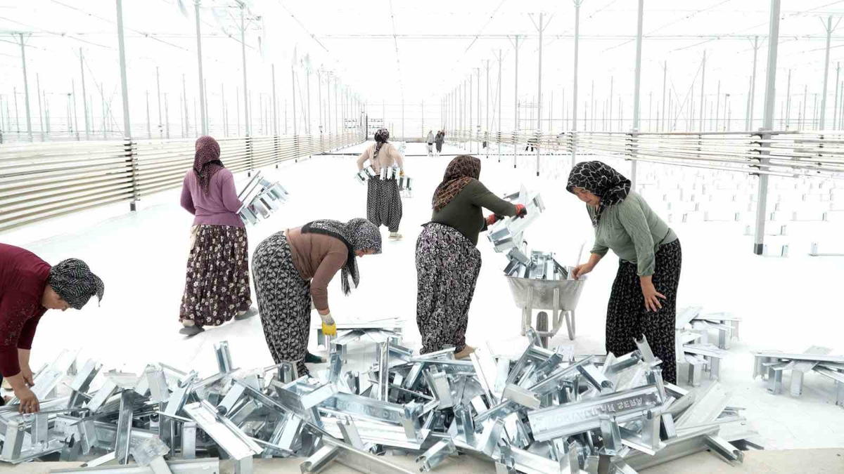 Afyonkarahisar Çobanlar'da kadınlar jeotermal serayı kendi elleriyle inşa ediyor