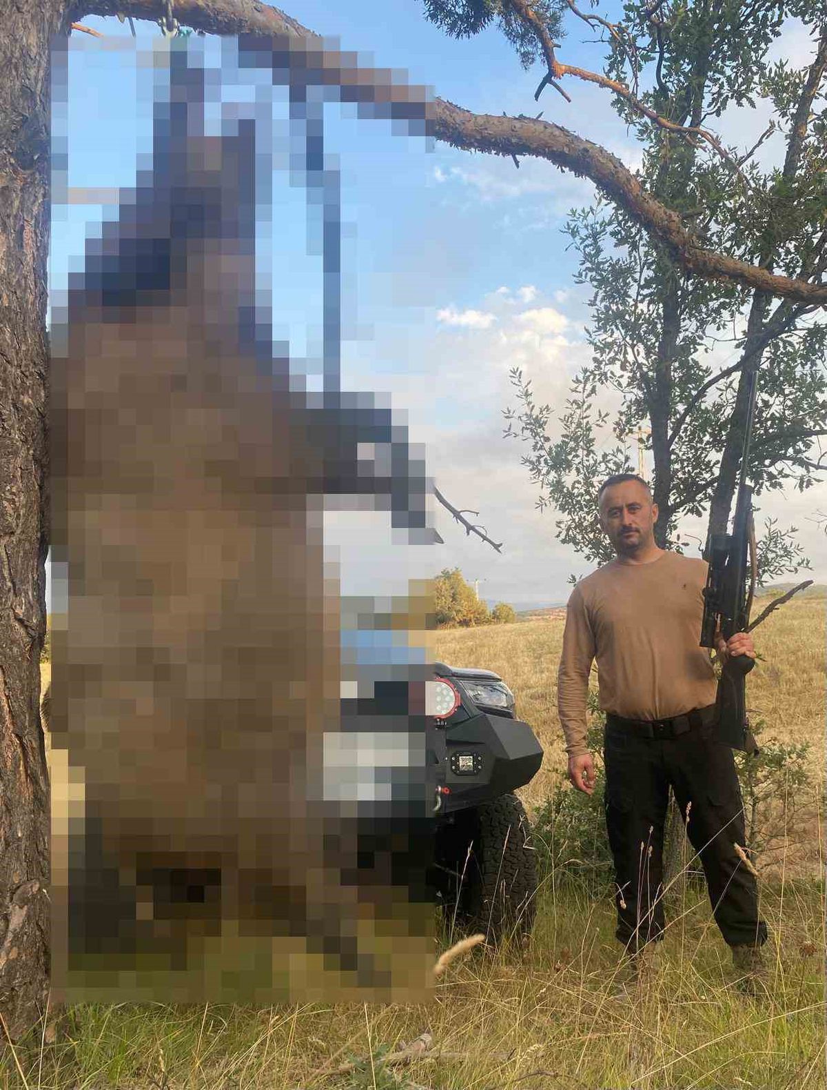 Akdağmadeni’nde yaklaşık yarım tonluk dev yaban domuzu öldürüldü