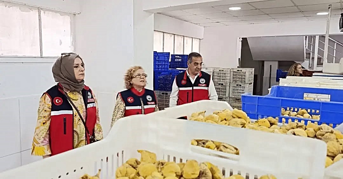 Aydın İnciri için Nazilli’deki tesislerde denetimler aralıksız sürüyor