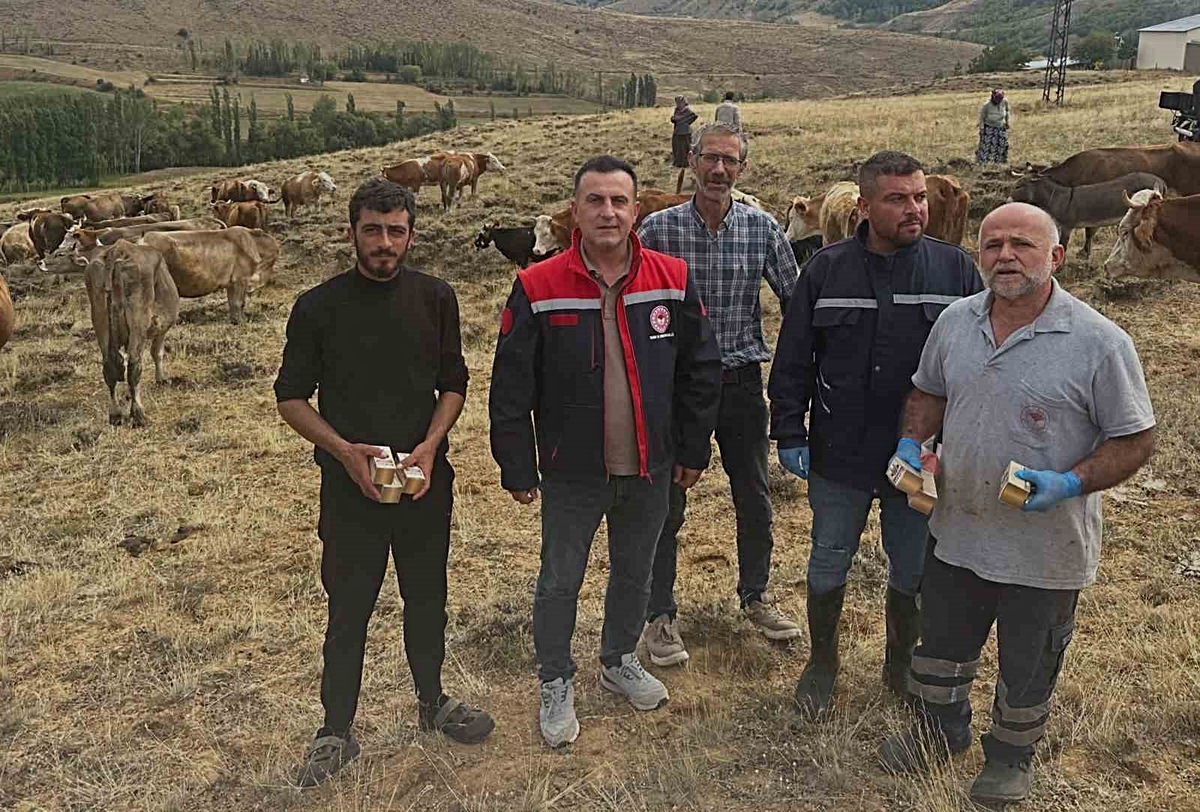 Bayburt Aydıntepe'de Tarım ve Orman Müdürlüğü yonca otlatmada şişkinlik uyarısı yaptı