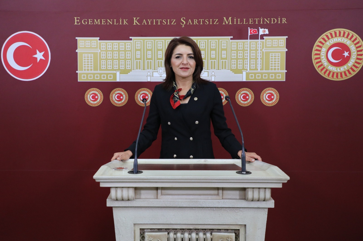 CHP'li Kış, Mersin narenciye lojistik krizi için 3 bakanlığa soru önergesi verdi