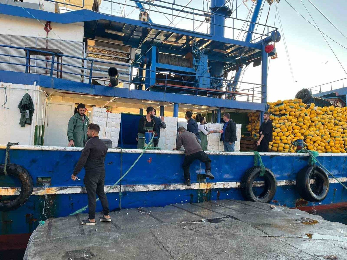 Didim İlçe Tarım ve Orman ekipleri hamsi kotası denetimlerini sürdürüyor