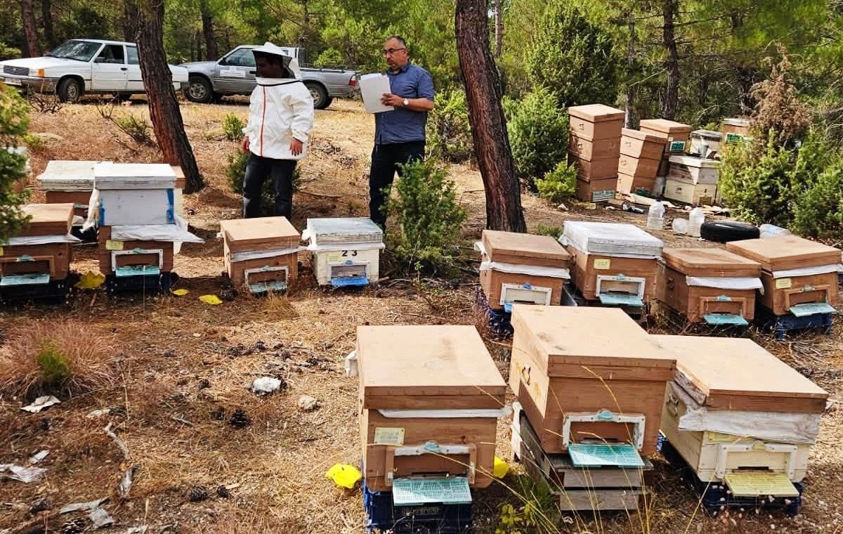 Emet İlçe Tarım ve Orman Müdürlüğü merkez ve Eğrigöz'de arılı kovan tespiti yaptı