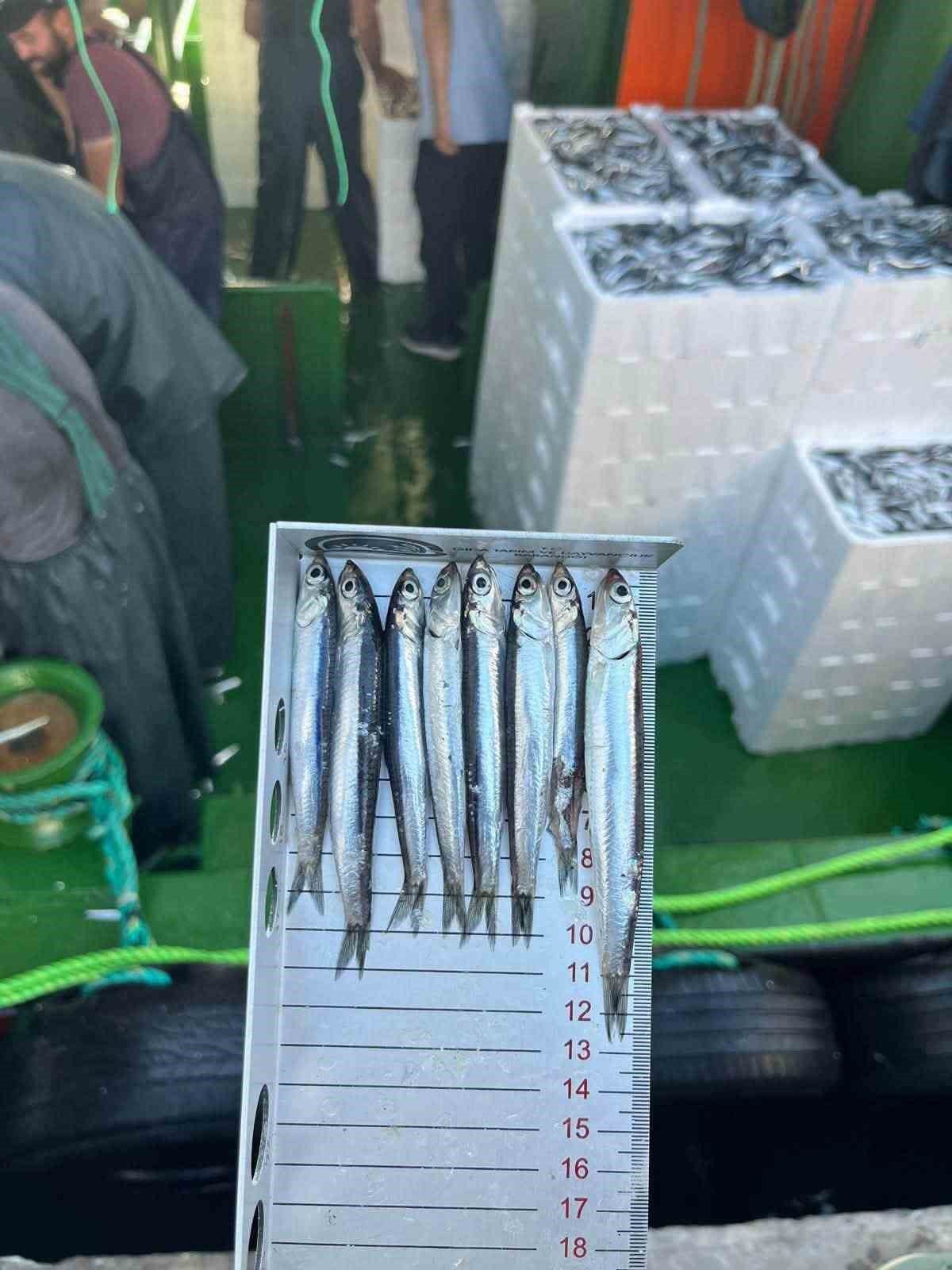 Didim'de Su Ürünleri Denetimi ve Balık Boy Ölçümü