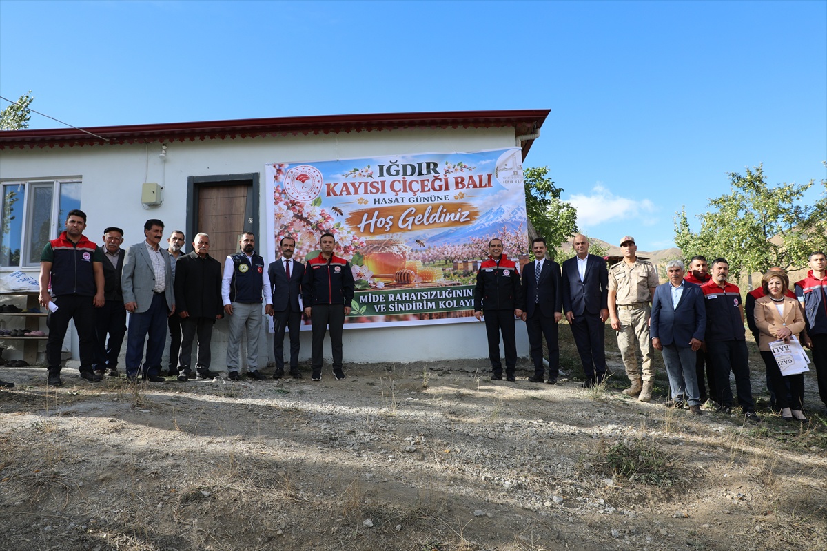 Iğdır Tuzluca'da kayısı çiçeği balının ilk hasadını Vali Taşolar yaptı
