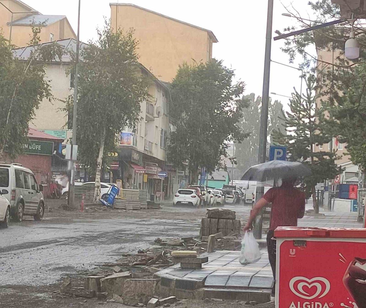 Ardahan'da Sağanak ve Dolu Hayatı Olumsuz Etkiledi