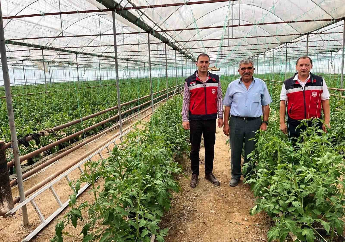 Simav'da İlçe Tarım ve Orman Müdürlüğü personeli seracı üreticileri ziyaret etti