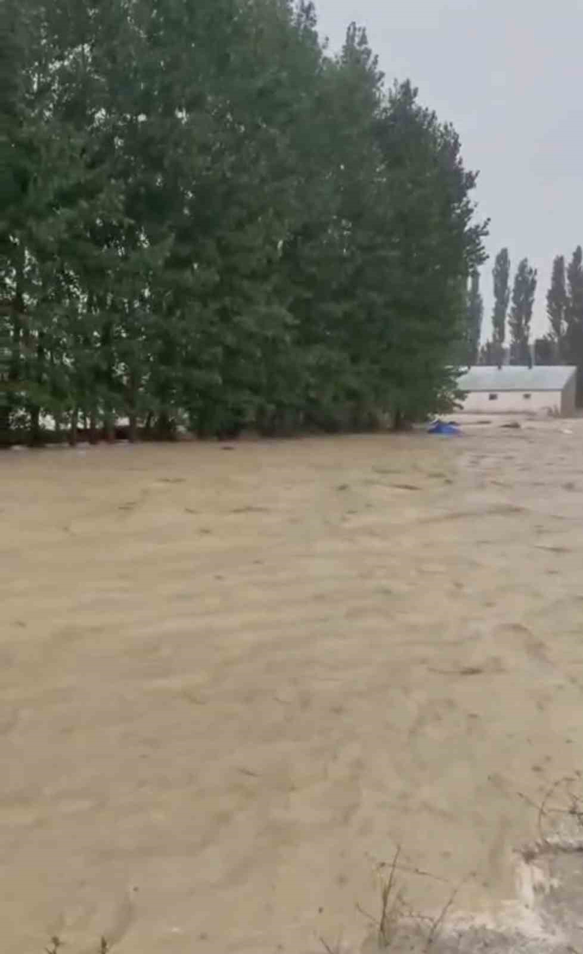 Sivas Güney Köyü'nde sağanak sonrası sel, tarım arazilerine büyük zarar verdi