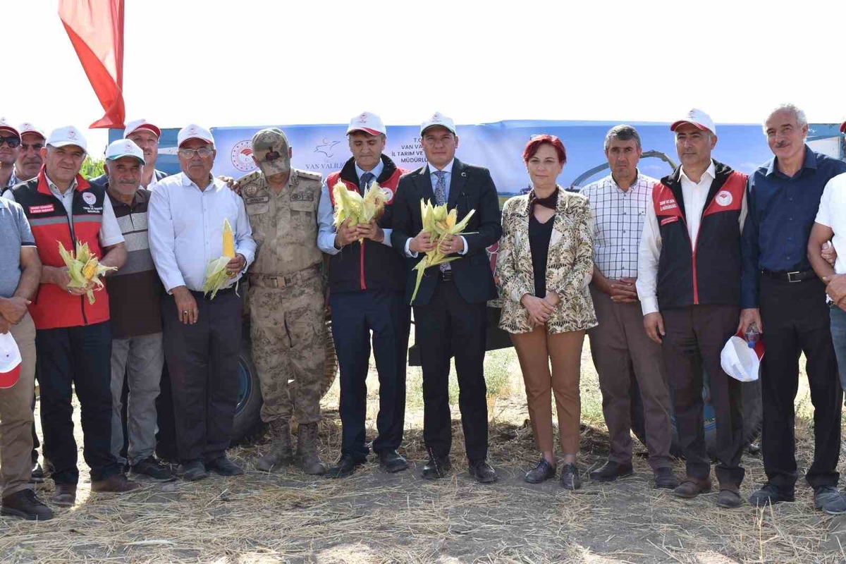 Tuşba'da 1.500 dekarda silajlık mısır hasadında dekardan 6-7 ton verim alınıyor