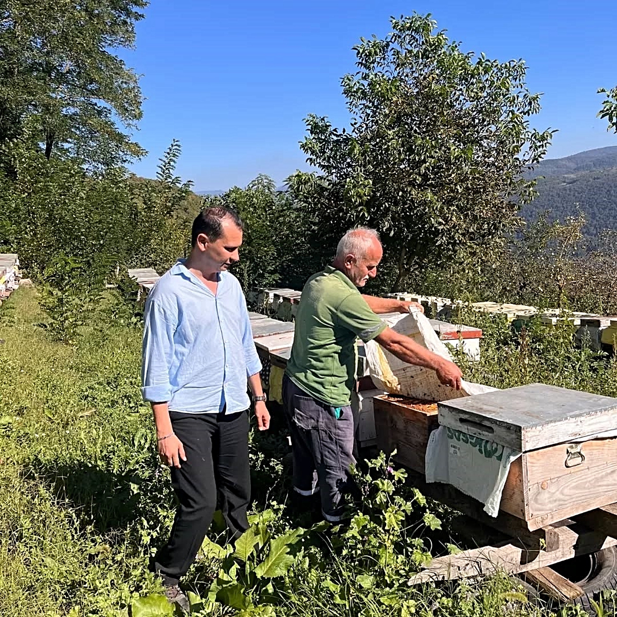 Yığılca’da arılı kovan tespit çalışması