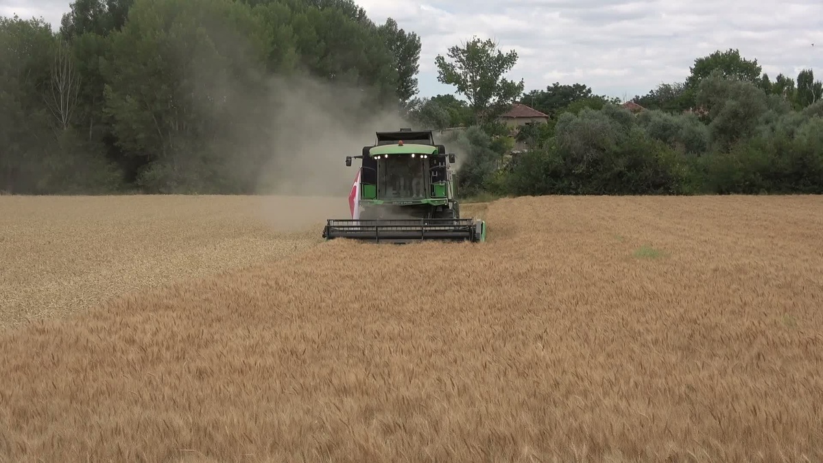Yozgat'ta denemede arpada dekara 763 kilograma kadar verim alındı
