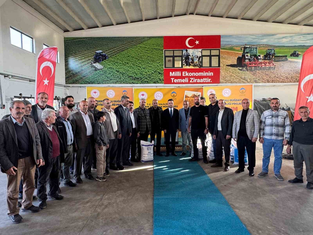 Ağrı Tarım ve Orman İl Müdürlüğü 1100 üreticiye 550 ton buğday tohumu dağıttı