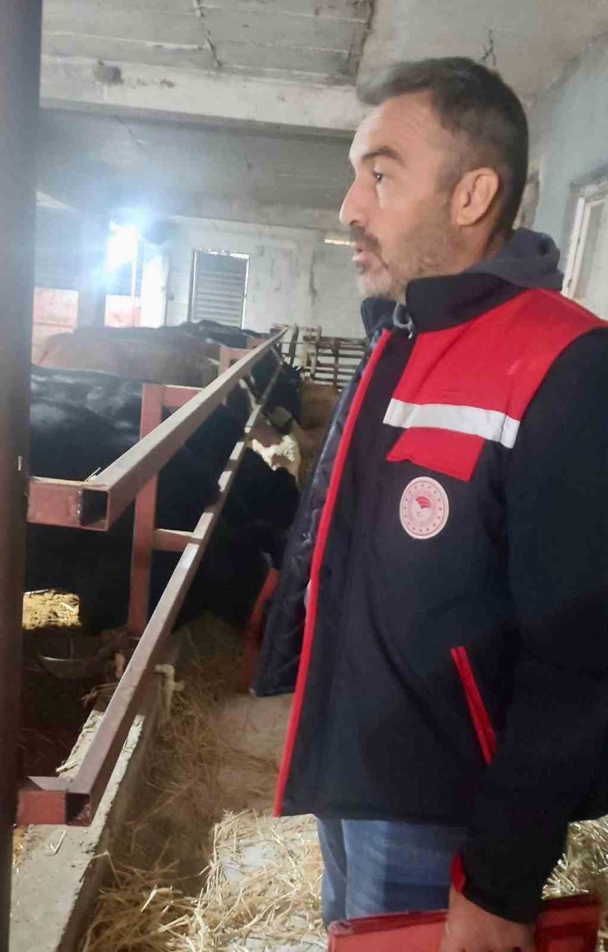 Dinar İlçe Tarım ve Orman Müdürlüğü ithal hayvan bulunan işletmeleri denetledi
