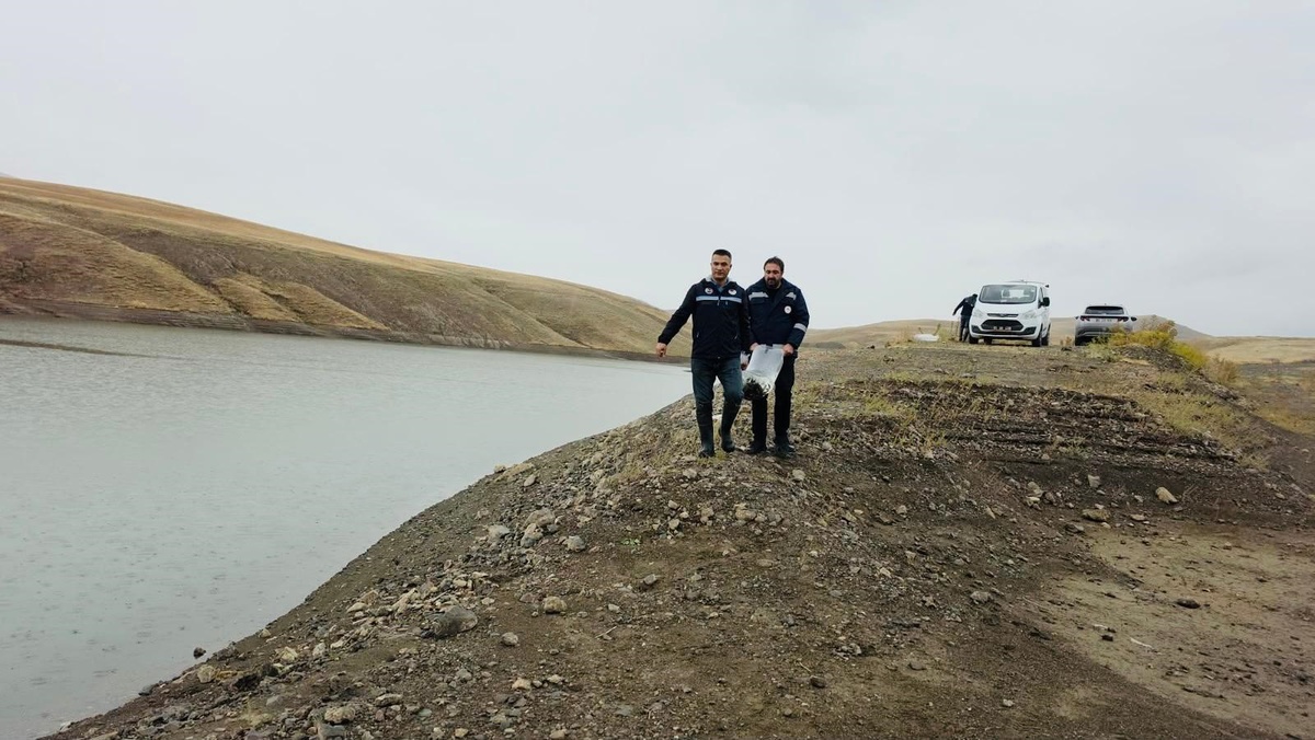 Elazığ'dan getirilen 700 bin sazan yavrusu Van'ın 4 ilçesindeki 8 gölete bırakıldı