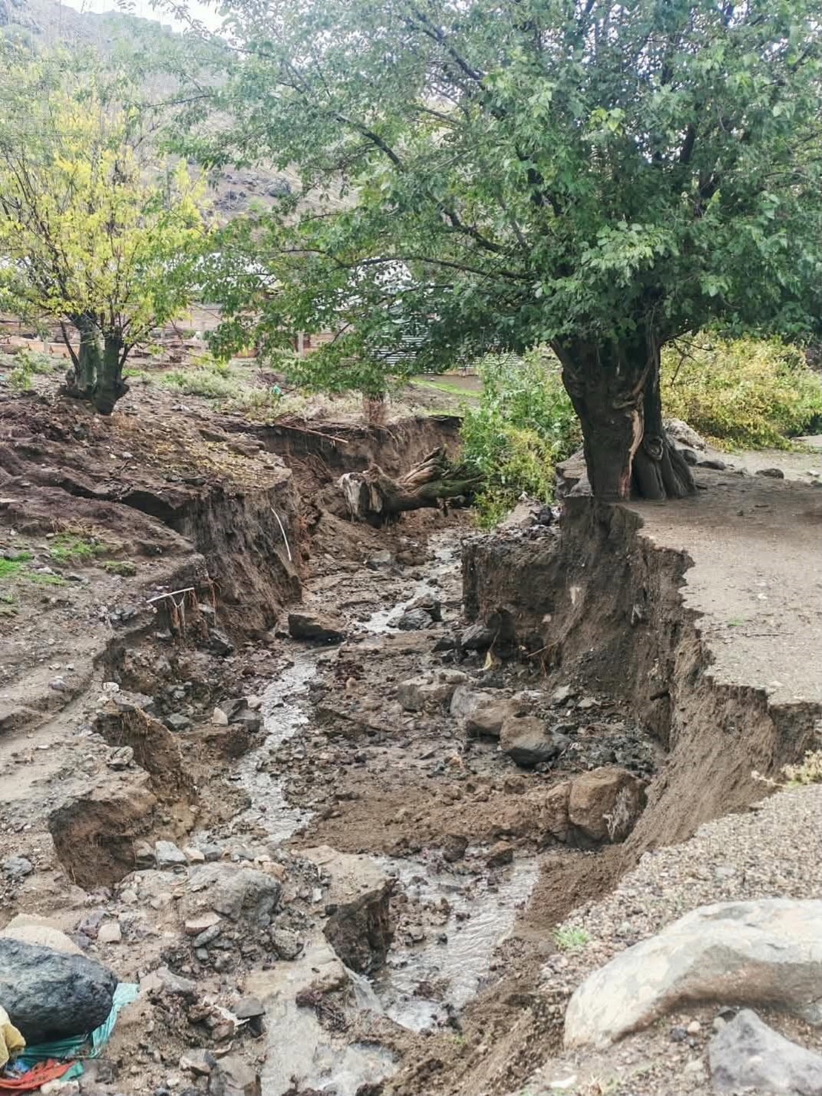 Elazığ'ın Beydoğmuş köyünde yağış sonrası ağaçlar devrildi, derin çukurlar oluştu