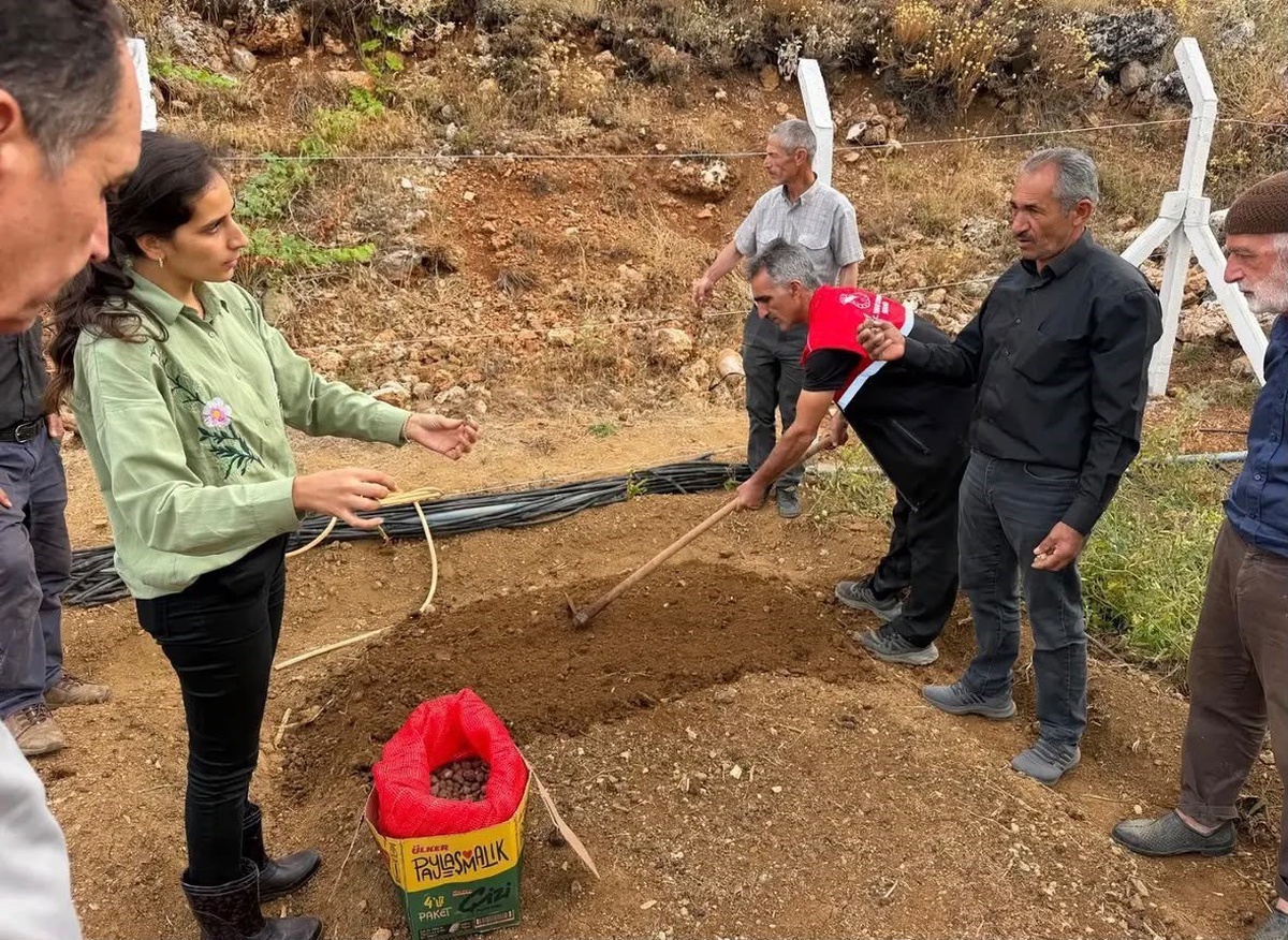 GAP destekli proje Çelikhan’da 10 üreticiye 90 kilogram salep yumrusu sağladı