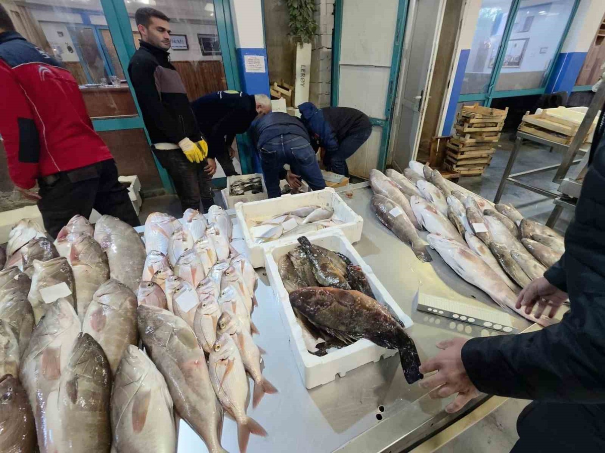 İzmir Buca Balık Hali'nde 45 kilo yasa dışı su ürününe el konuldu