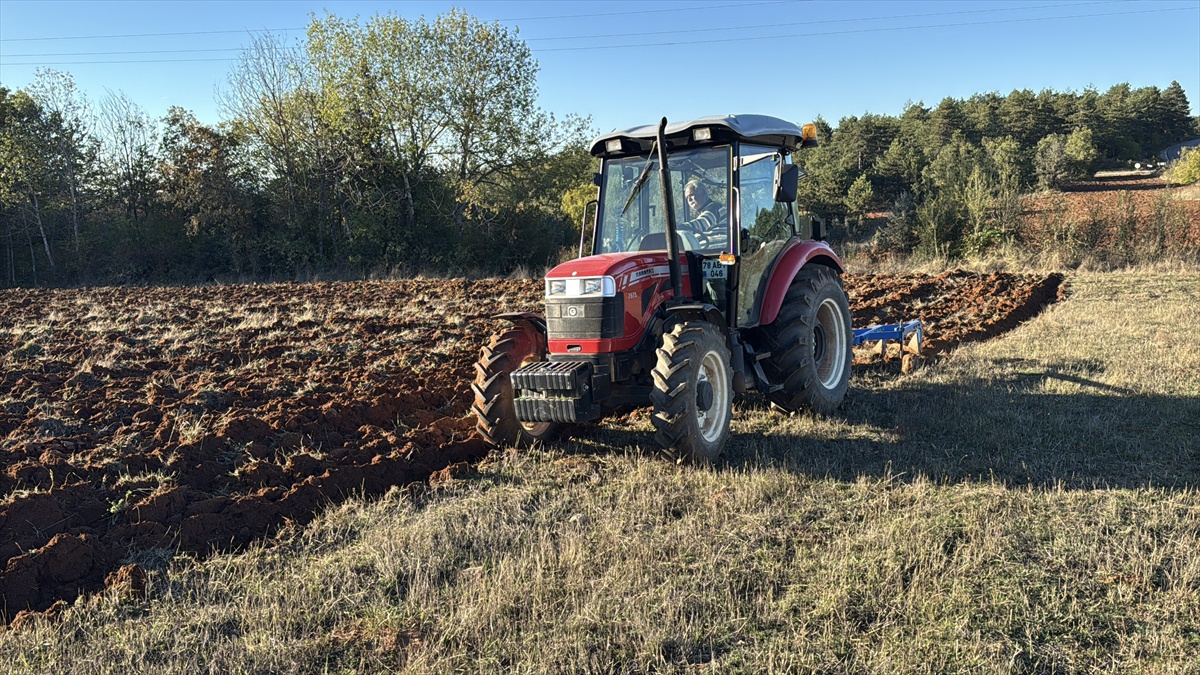 Karabük'te 2025-2026'da 193 bin dekara hububat, 66 bin dekara yem bitkisi ekildi