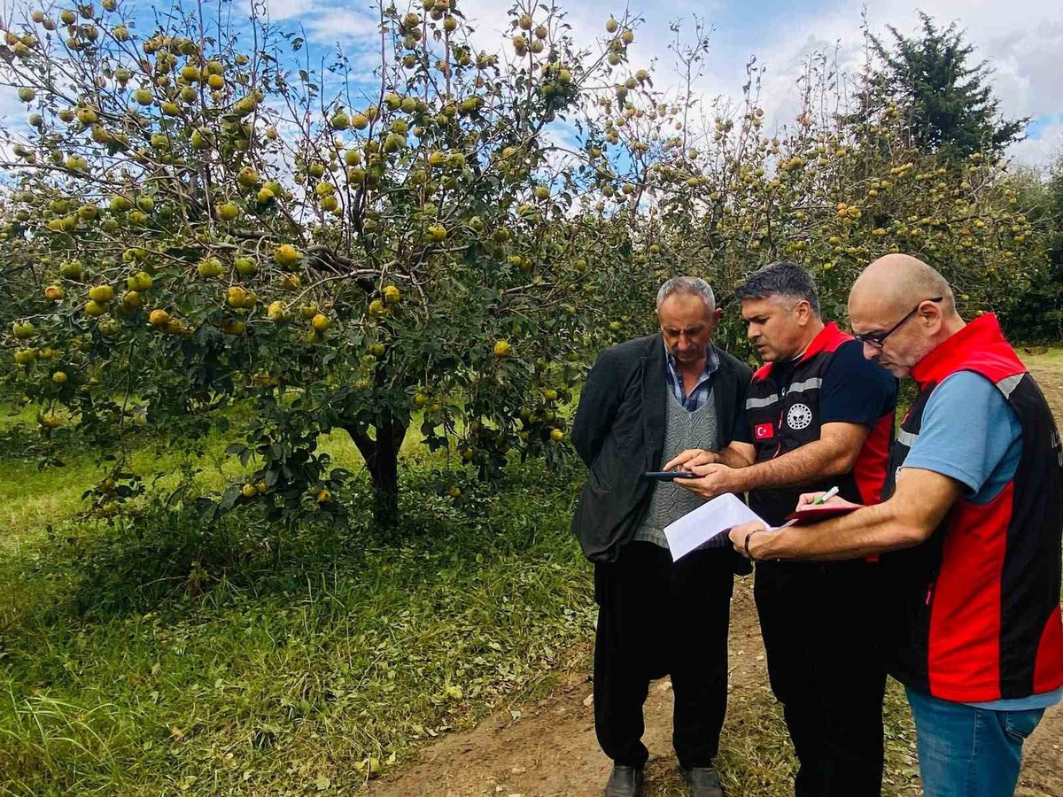 Kozan'da dolu yağışının vurduğu bahçeler için üreticilere başvuru çağrısı yapıldı