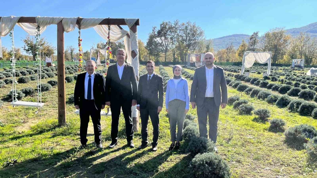 Samsun Kavak'ta Tarım Müdürü Yılmaz kadın üreticinin lavanta bahçesini ziyaret etti