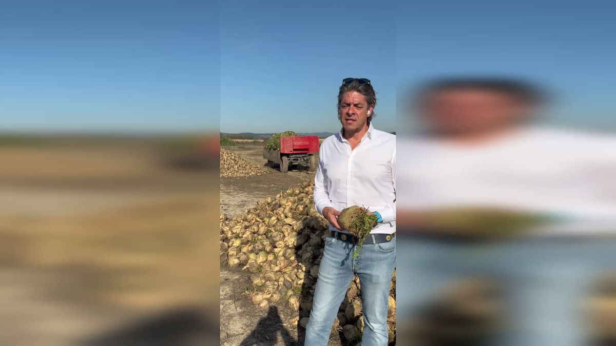 Solakoğlu, çiftçinin zarar ettiğini savunup Tarım Bakanı'na istifa çağrısı yaptı