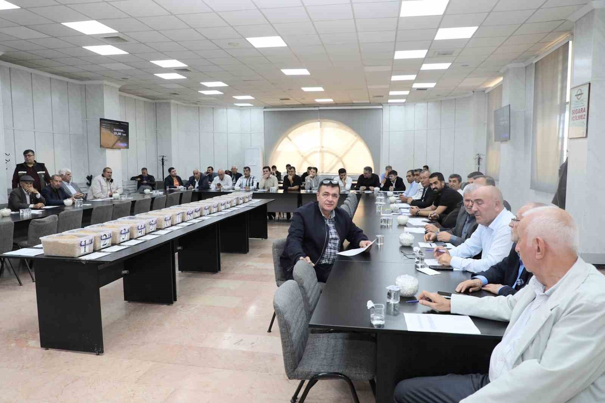 TİGEM Ceylanpınar'ın 15 bin 411,44 ton buğdayı GTB ihalelerinde satışa sunuldu