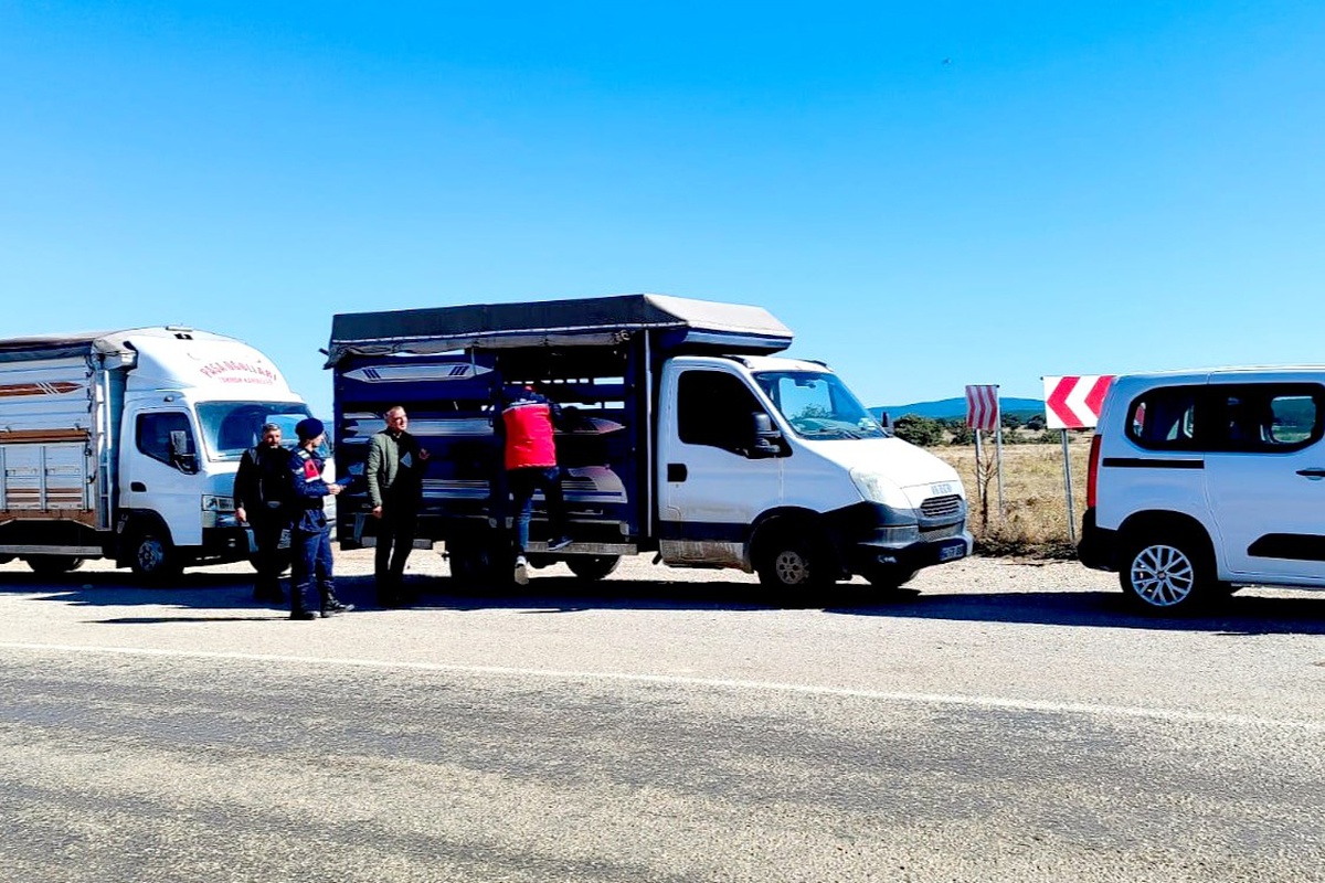 Uşak'ta hayvan hastalıklarına karşı jandarma ve tarım ekipleri yol denetimi yapıyor